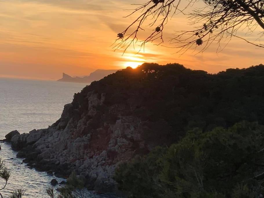 Athena Ohana, Les Pieds Dans L'Eau Bandol Exterior photo